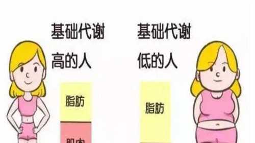 所有生殖中心都能供精吗,2023湖南仁济医院借卵做试管婴儿费用解读?
