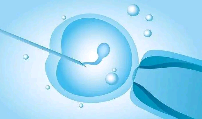 试管婴儿供精什么流程,2023温州仁济医院借卵做试管婴儿费用解读?