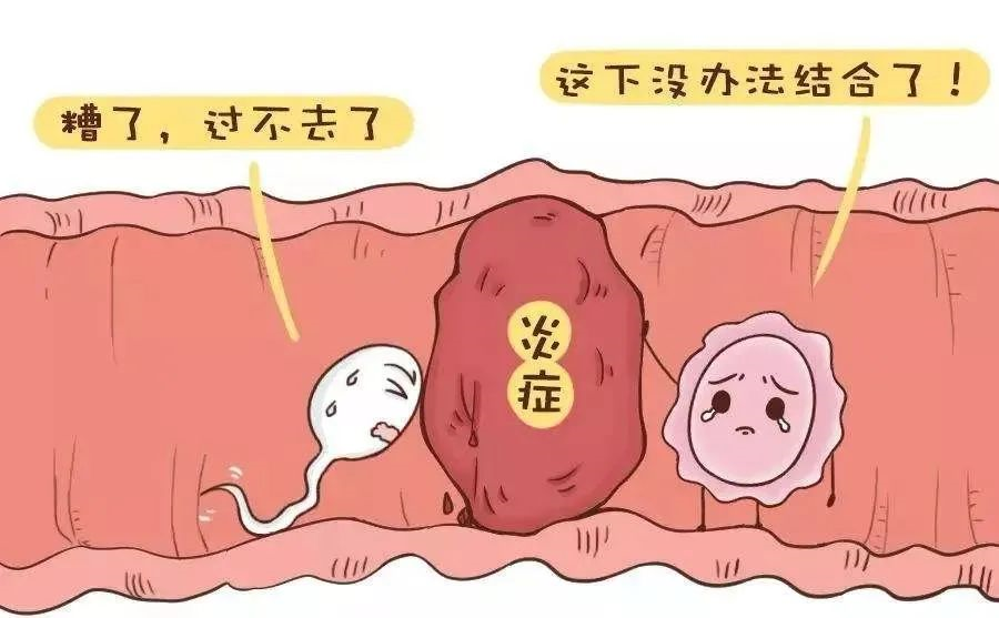 北京做供精试管最好的医院是哪家,2023河南哪家借卵做试管婴儿的医院最好呢？