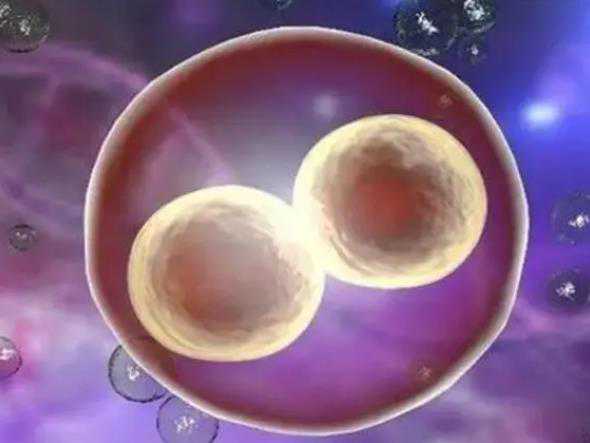 什么是供精供卵细胞,2023宁波哪家借卵做试管婴儿的医院最好呢？