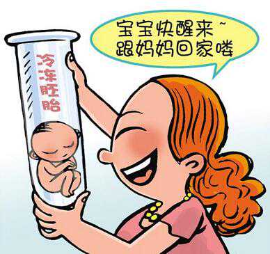 代孕和试管婴儿_代孕的出生证明怎么办_试管婴儿的智商怎样