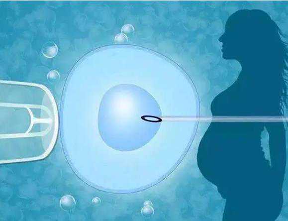 代孕能医院里可以吗_哪里能代孕_精卵质量好、胚胎等级高，为何试管移植还是