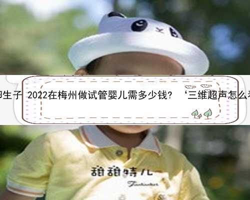 梅州买卵生子 2022在梅州做试管婴儿需多少钱? ‘三维超声怎么看男女’