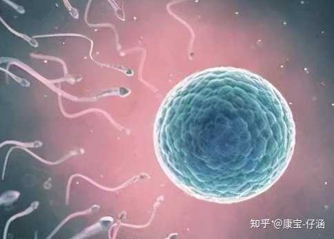 山大生殖供卵供精一起吗,2023三明哪家借卵做试管婴儿的医院最好呢？
