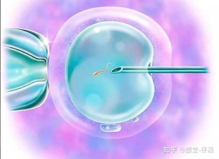 山大生殖供卵供精一起吗,2023三明哪家借卵做试管婴儿的医院最好呢？